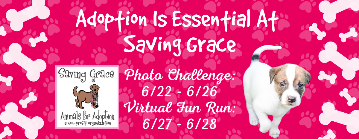 Adoption is Essential at Saving Grace